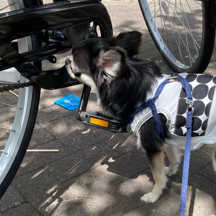 E17c80ce 75ef 464a 997f 4ce0d26ccb40 1620103668034