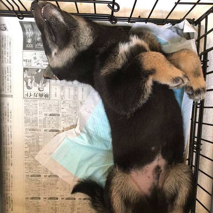 E17c95c9 aa20 4875 9811 d04f28bb7e3c 1581497969694