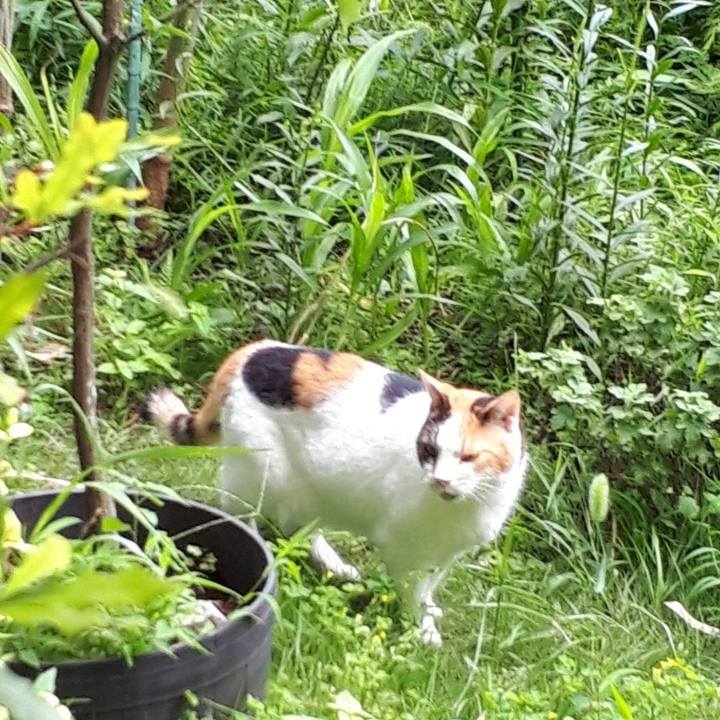 E17c9636 f8a8 47a7 9996 43b29a5b2b7d 1629889384705