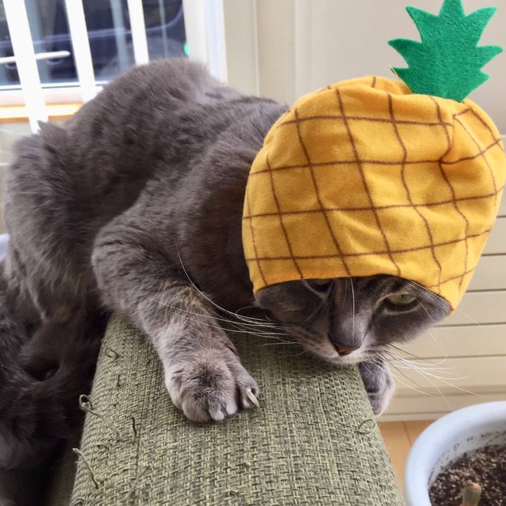 E17caaa1 c997 4a70 beb1 57c3963b5e07 1529107816477