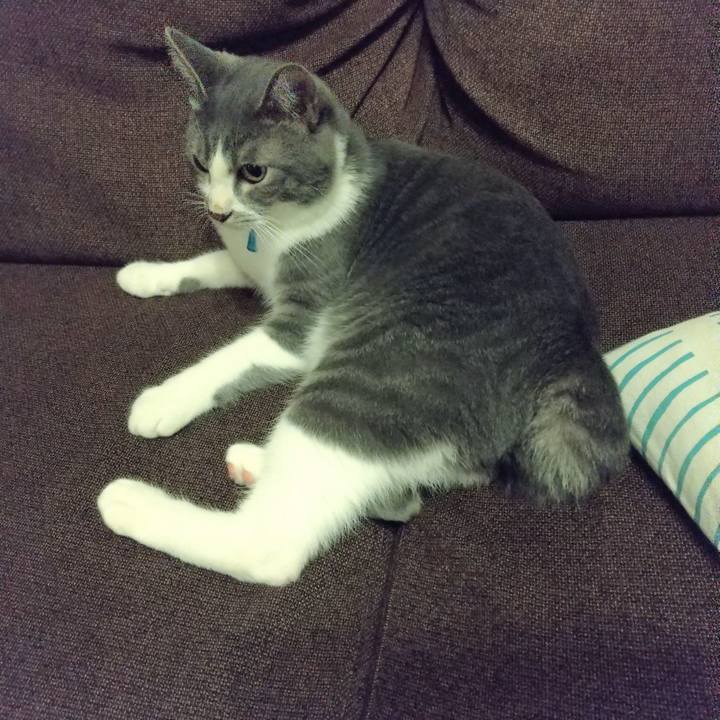 E17cdd76 27d3 42e9 9436 bc18d464d001 1599210520546