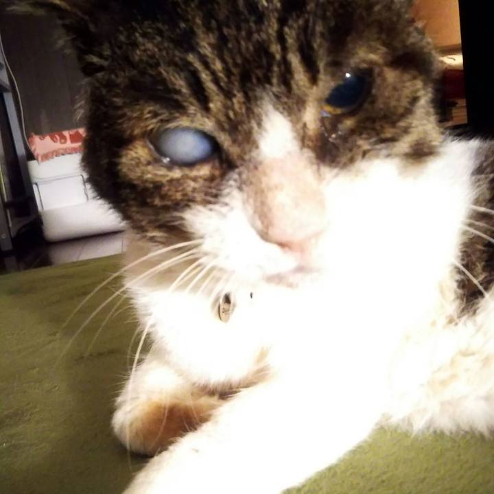 E17d01ae 0cbd 4c5d bd6a 69663b5c7ee2 1560611377954