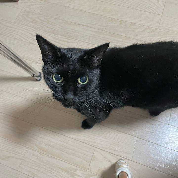 E17d228e 50e0 4aac 84bf 52b57c9f6bb2 1701174414340