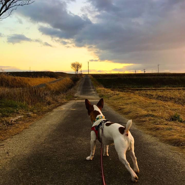 E17d69c5 d94a 4852 adca 402ef3c9a79a 1516272619555