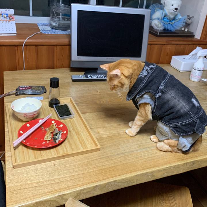 E17da352 0cb7 4e94 b395 c29bb505ebcd 1643629646942