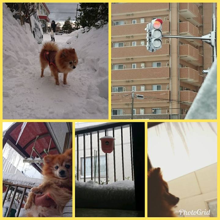 E17daea1 c737 4ab3 b154 d3543e25762b 1517043223787