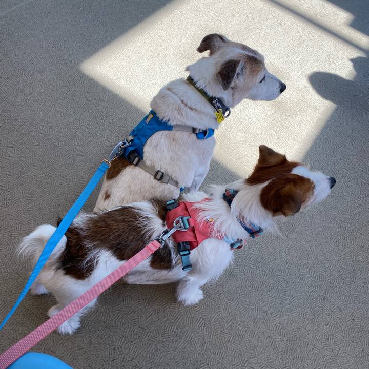 E17e0282 151d 4899 b001 c37c3fe06e36 1685841006187