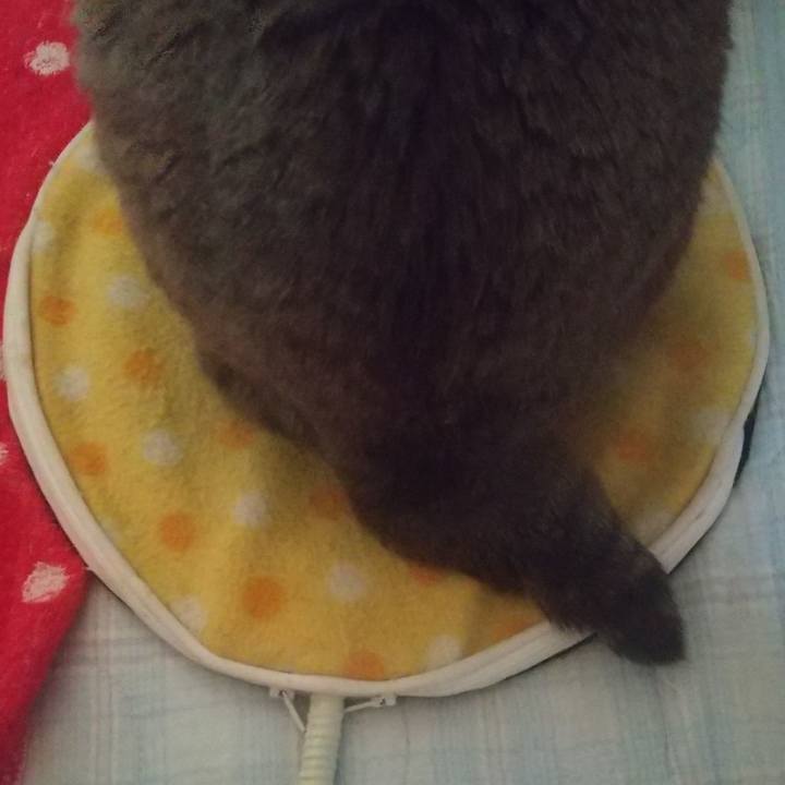 E17e0894 93c3 42c0 b162 24c4c6d4e6a1 1652059823405