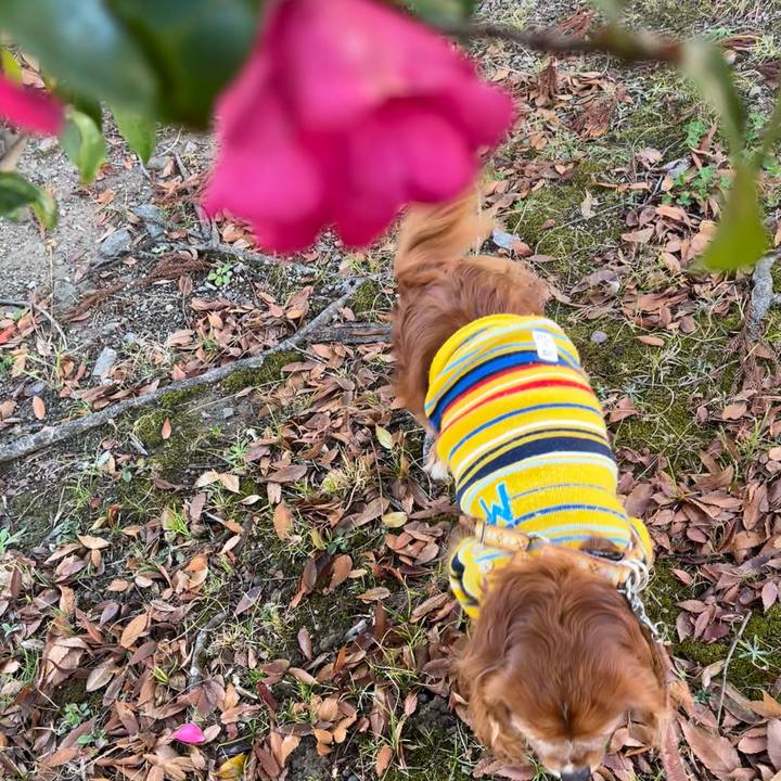 E17e2247 26a8 4395 ab31 24da33500a0f 1702771221053