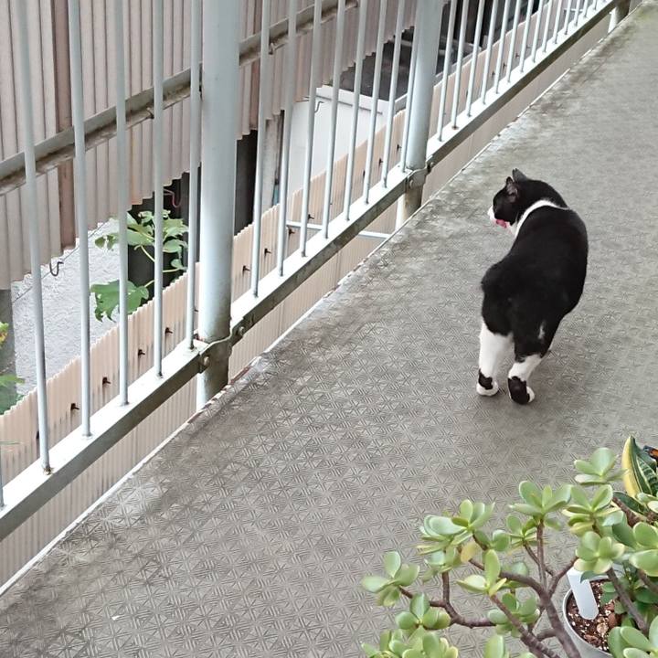 E17e88be f4bc 4ed8 8f8d df630f3bfbe0 1665958416299