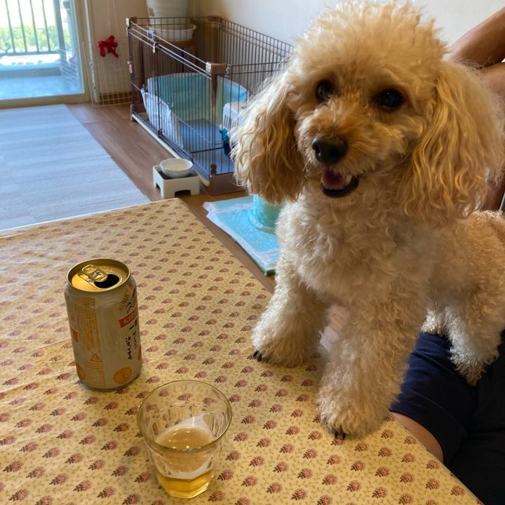 E17e89f2 cfe5 4c4e b315 19afeb87c137 1632637089718