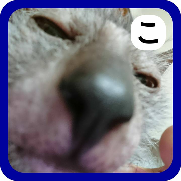 E17e8bf3 29a9 4584 a933 6aef1099b5ab 1515032136552