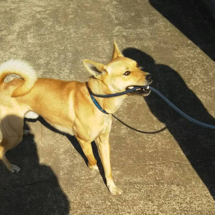 E17eccbe 6597 44a4 80b2 637b282bb464 1521877202183