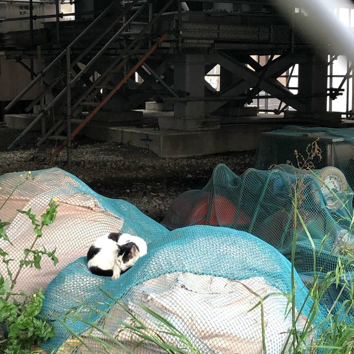 E17edd32 dbd0 4a5f 843e 37b5a95fd1cf 1589720422994