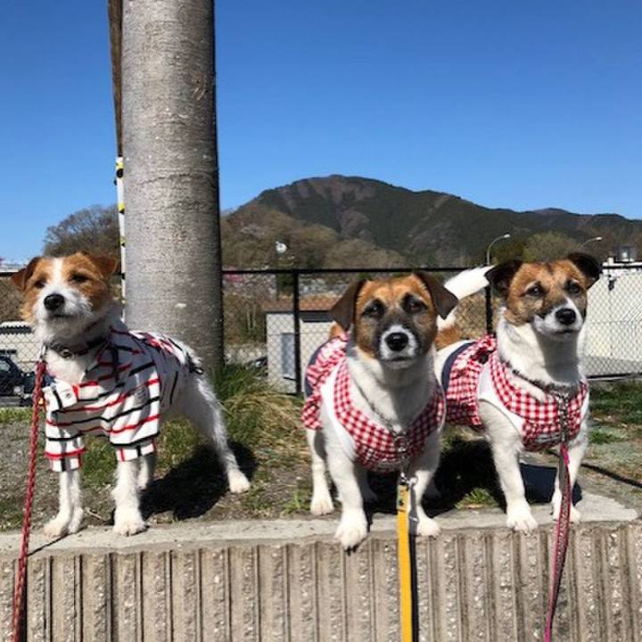 E17ef455 d4cf 444e 82f0 26d7eff932d3 1555113918178