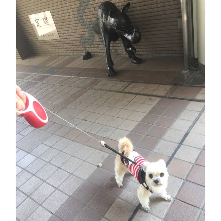 E17f2a5f 0f45 40b2 ad55 9c98e6733dbc 1554548601483