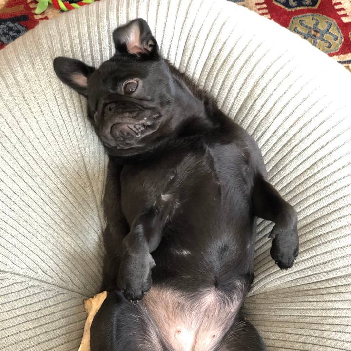 E17f7aab 3db6 4b83 bb71 b8b3edaafc8e 1617100058012