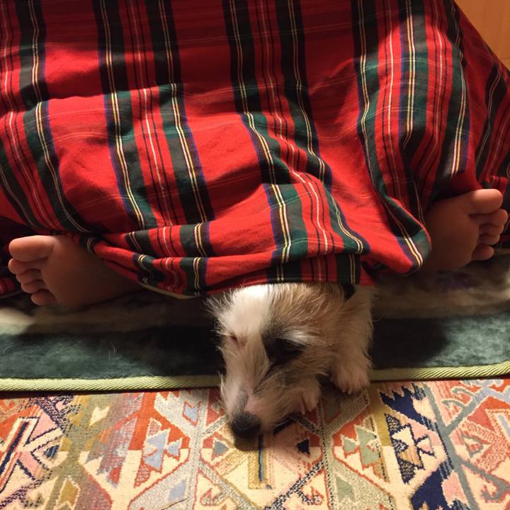 E17f7e2b 4612 4b16 af08 efa936119767 1515935301128