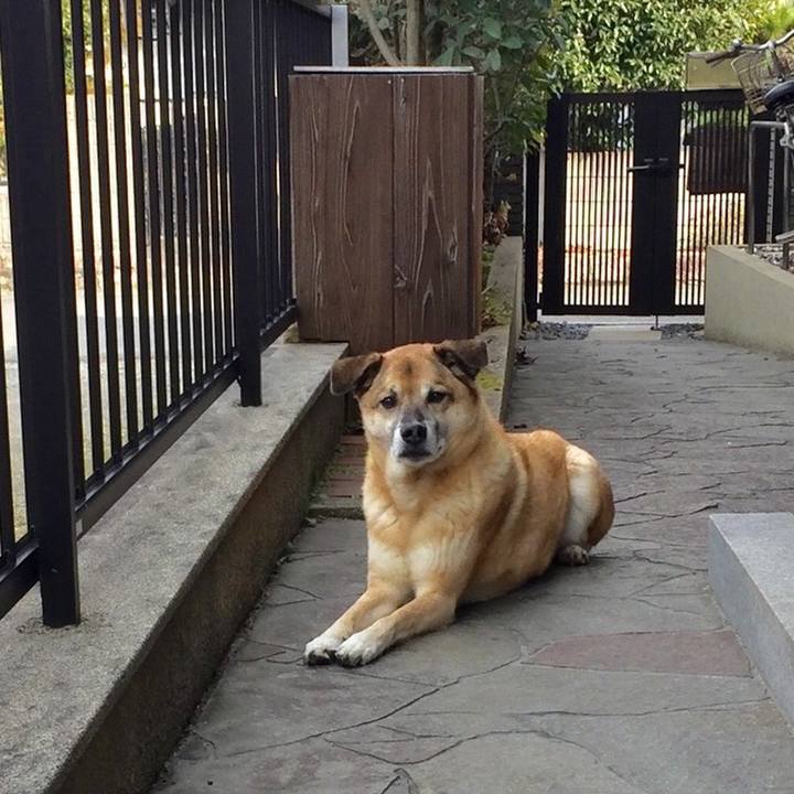 E17f8248 1cd5 4036 9492 449daa400760 1551009486449