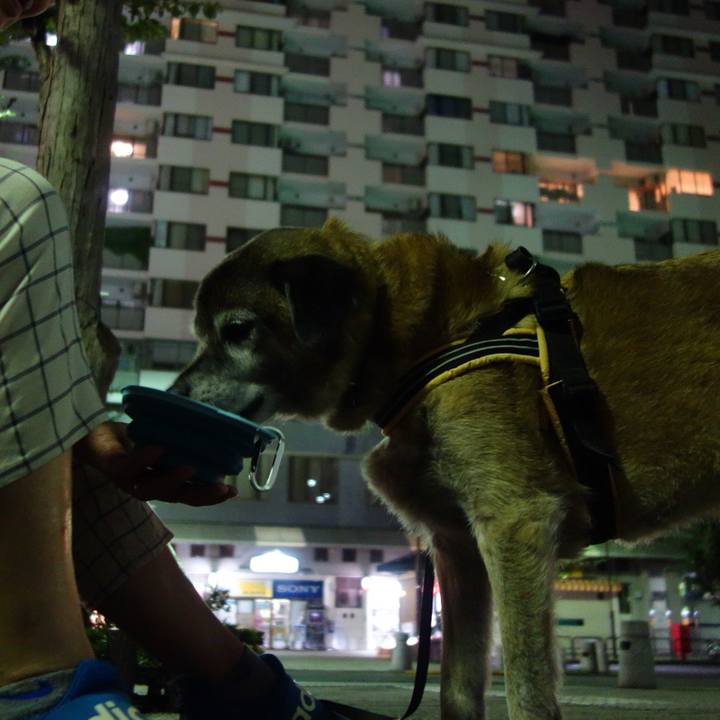 E17f956e 4408 48cf bc9e acc8483c7861 1567940342461