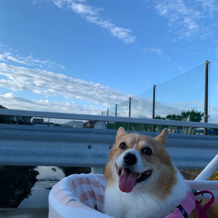 E17fdbe7 7b89 4baf bd93 12170b8212e3 1695940907344