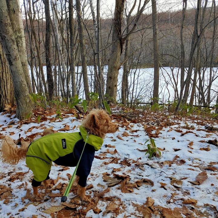 E17fdfe7 05c3 47b1 8091 6fea188f0d7c 1607833655923