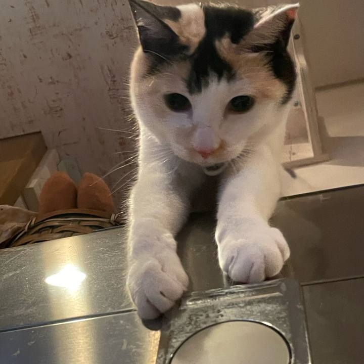 E17fe121 7fc3 427f 8c97 929f89e5bb42 1743518666288