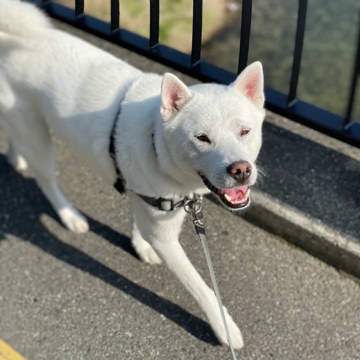 E18029a7 8c08 49d1 a559 316c6a2bd3ba 1617927783673