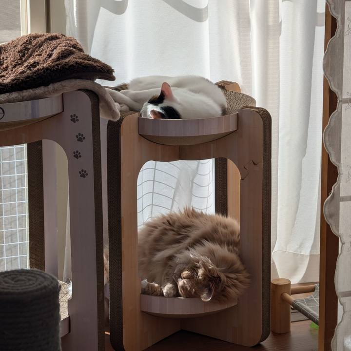 E1804a80 f7ee 413c ae94 b93f20074b3d 1730606928198