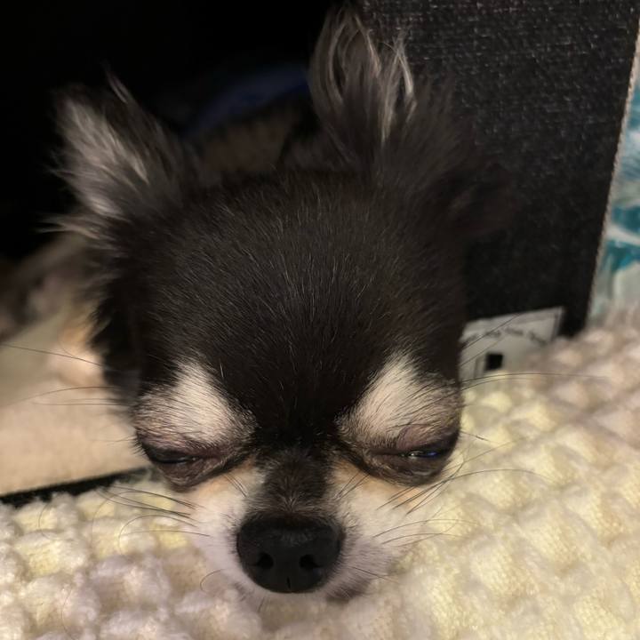 E18051a5 151c 47ad a344 84f1ba24df15 1725118874694