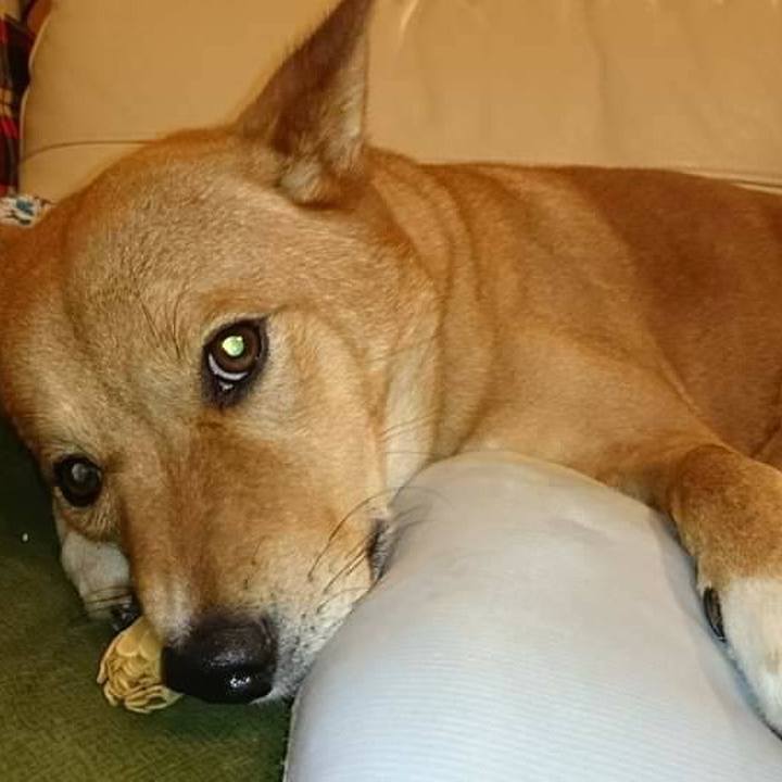 E1808e1c d88e 42a2 ab28 7953bc779745 1590572477156