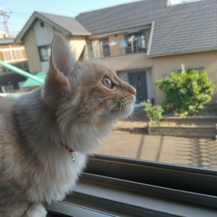 E180d973 2042 4cdb 9682 aab997d34db2 1619222797617