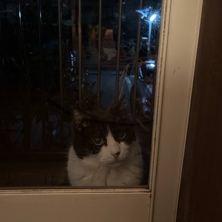 E180dc12 fcf0 40b3 a40c c176be4a74b8 1771420843878