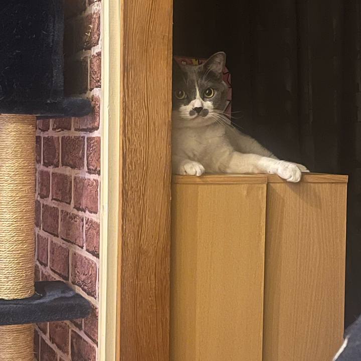 E180efe0 89c1 4a42 9be0 ff54fe31b2f2 1726749244151