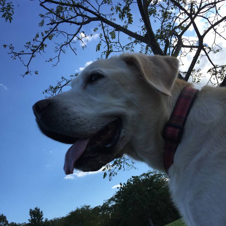 E180f725 9ecc 4e09 bcaf fadcdf842dae 1508218720134