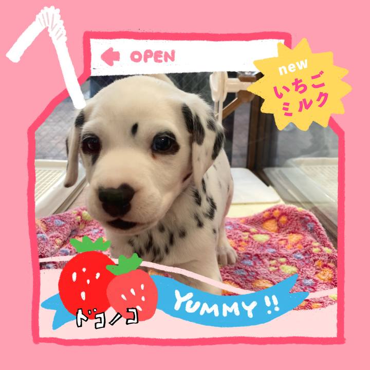 E1810c4e 7dd4 44c3 8adc a9e8cf84da42 1711550545661