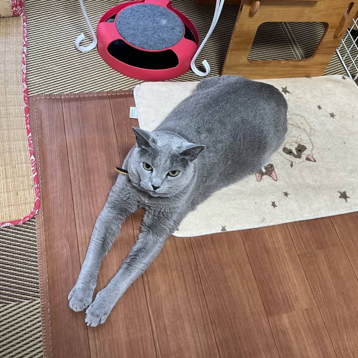 E181191d 5cad 4e8e 85e4 f83386b90ce5 1739054125682