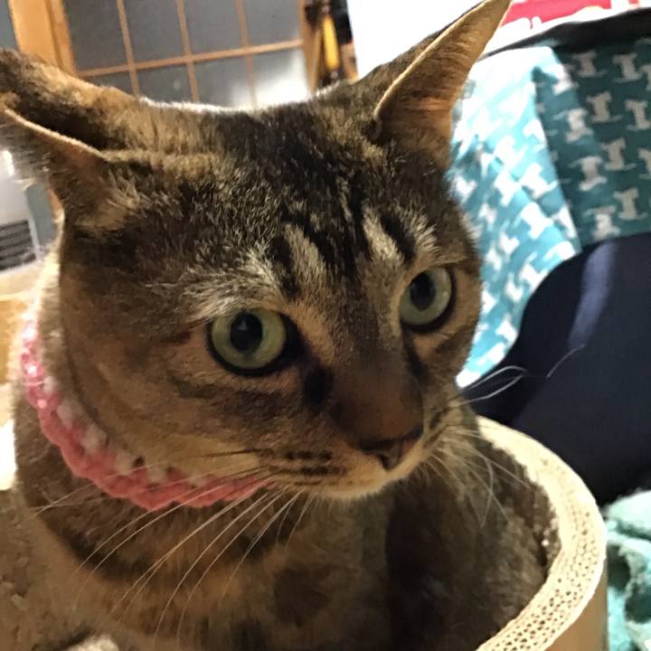 E1813343 82e9 44a5 a93b 9d35d40ee705 1743593043983