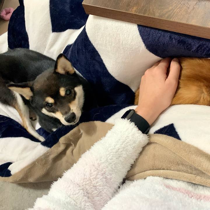 E1813b2c 9dd8 4e2c be84 21299a0713d8 1614488097297