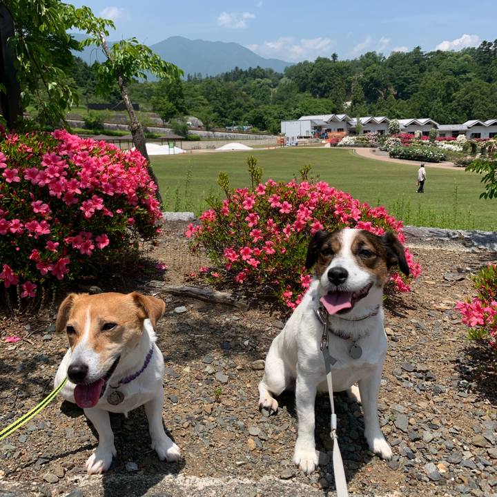 E18178d3 9d76 4603 9baf 0aa4e4f90b35 1592044740643