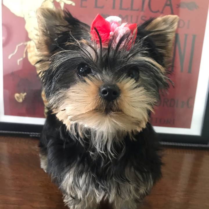 E18198c0 daa7 41ca 9665 dc9c9a032ef2 1615519187727