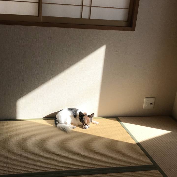 E181c4d2 e048 4b70 b89a fb7e4f7caff3 1520143106171