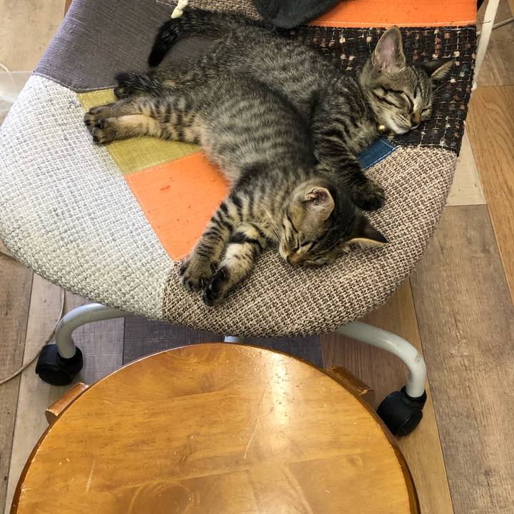 E181d35a e69a 4a48 8e93 a4e97d896fc6 1602299513200