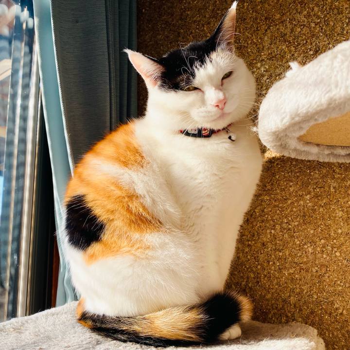 E181d7e7 ecd6 40cb a888 d933dd583c7d 1668903825279