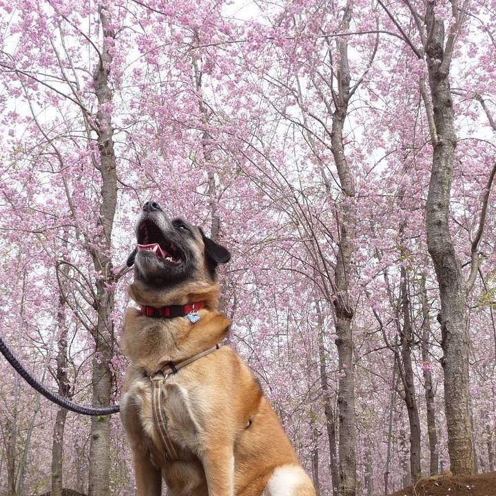 E181f49d 594d 47ed b24e c5d34b5fcc0e 1649119148408