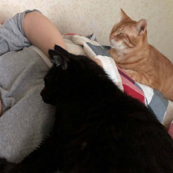 E18212fa cc9b 47ec 9b23 e39eb02e79d7 1568151863945