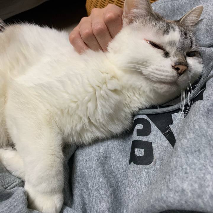 E1821a25 78e6 4952 aed4 ec5bd365bfc3 1618213889117