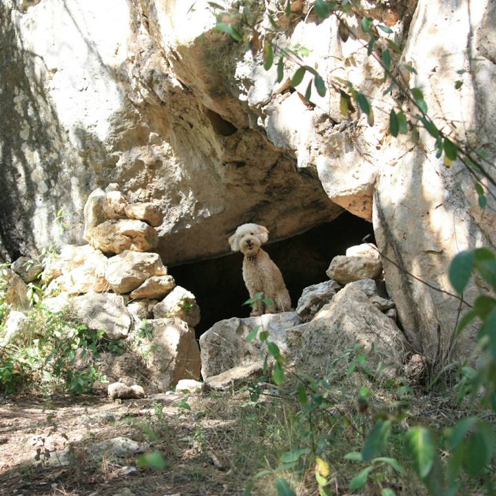 E1822168 e19a 4229 8b0c 689a801a4e66 1538396769280