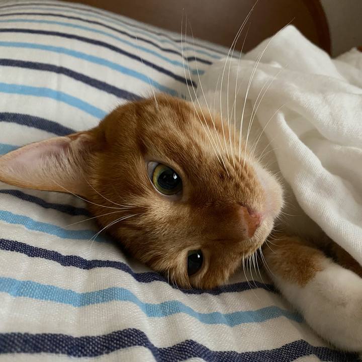 E1822821 34cd 43b8 be76 59415f13ad37 1600736010626