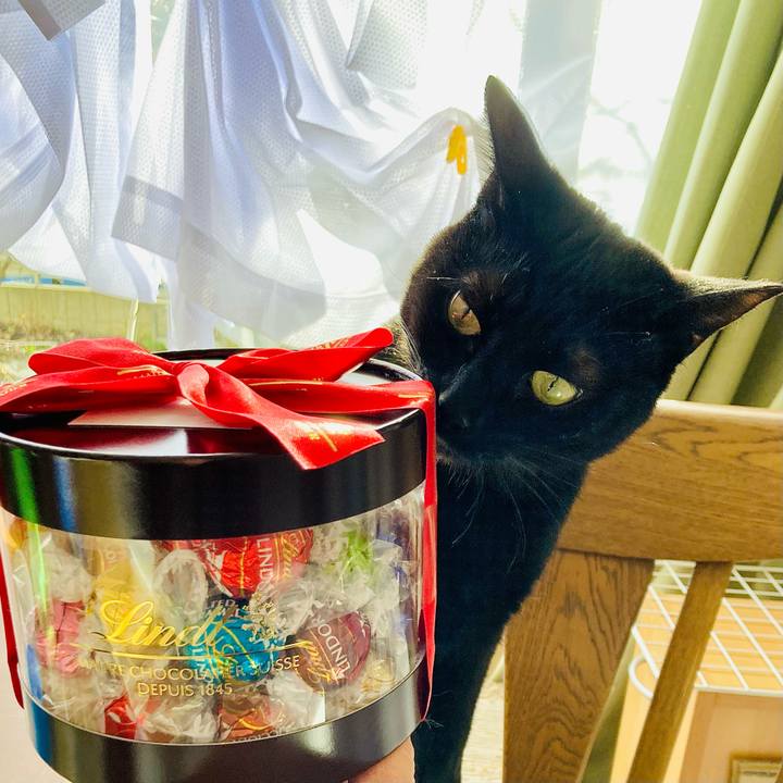 E18229ae 3b66 4372 953a c7ff8b3dab29 1703742170590